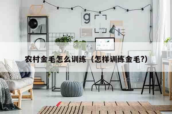 农村金毛怎么训练（怎样训练金毛?）