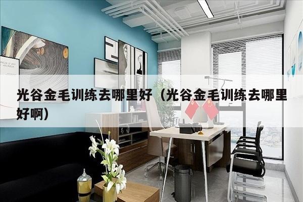 光谷金毛训练去哪里好（光谷金毛训练去哪里好啊）