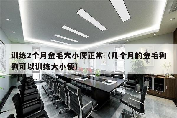 训练2个月金毛大小便正常（几个月的金毛狗狗可以训练大小便）