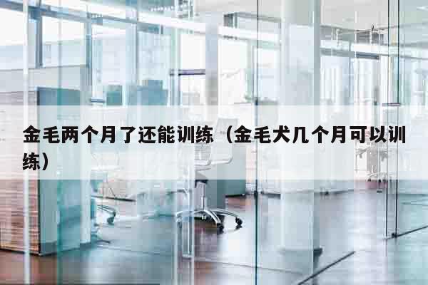 金毛两个月了还能训练（金毛犬几个月可以训练）