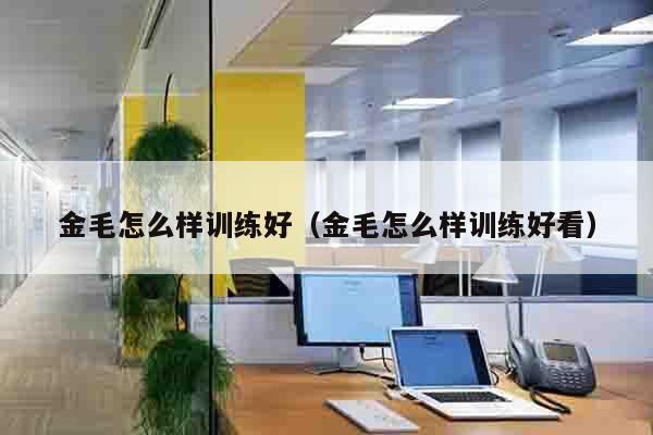 金毛怎么样训练好（金毛怎么样训练好看）
