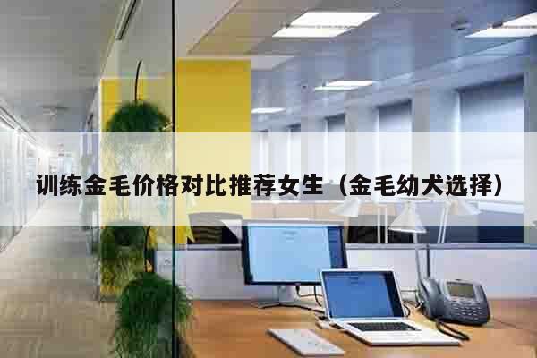 训练金毛价格对比推荐女生（金毛幼犬选择）