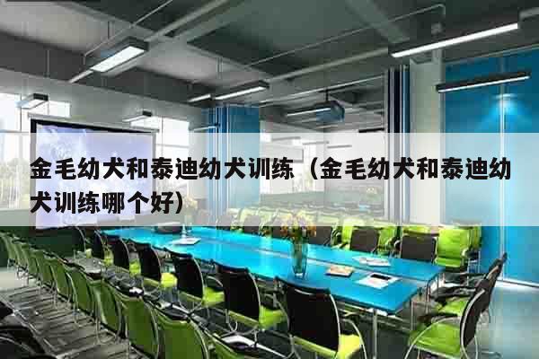 金毛幼犬和泰迪幼犬训练（金毛幼犬和泰迪幼犬训练哪个好）