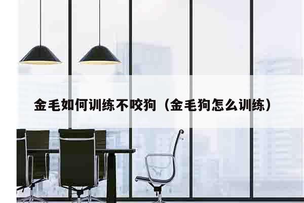 金毛如何训练不咬狗（金毛狗怎么训练）