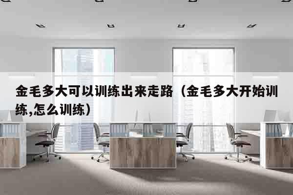金毛多大可以训练出来走路（金毛多大开始训练,怎么训练）