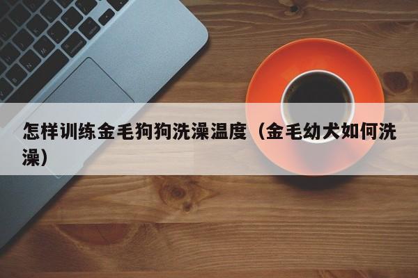 怎样训练金毛狗狗洗澡温度（金毛幼犬如何洗澡）