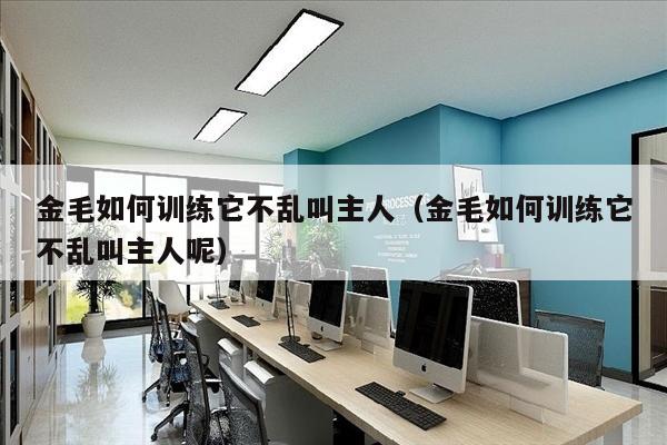 金毛如何训练它不乱叫主人（金毛如何训练它不乱叫主人呢）