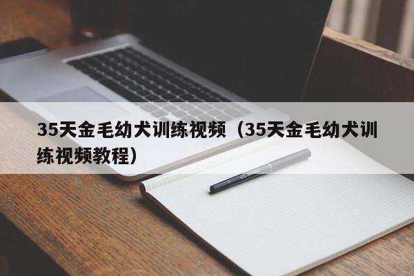 35天金毛幼犬训练视频（35天金毛幼犬训练视频教程）