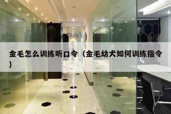 金毛怎么训练听口令（金毛幼犬如何训练指令）