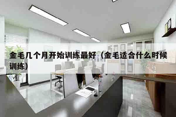 金毛几个月开始训练最好（金毛适合什么时候训练）