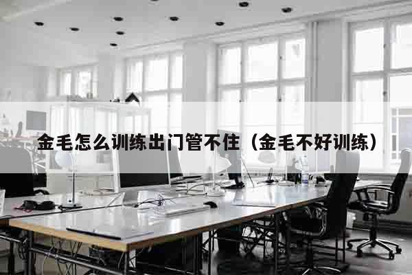 金毛怎么训练出门管不住（金毛不好训练）