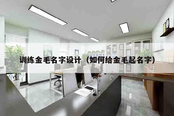 训练金毛名字设计（如何给金毛起名字）