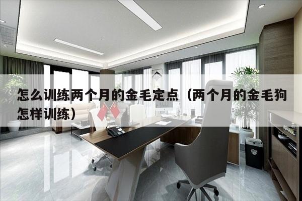 怎么训练两个月的金毛定点（两个月的金毛狗怎样训练）