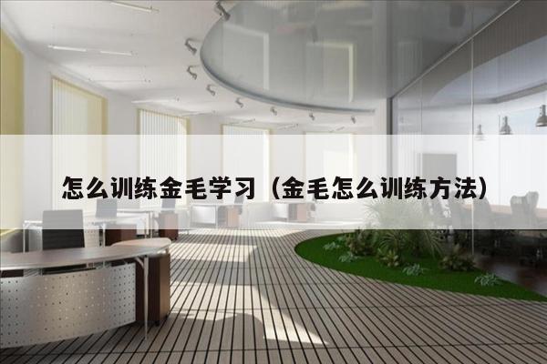 怎么训练金毛学习（金毛怎么训练方法）