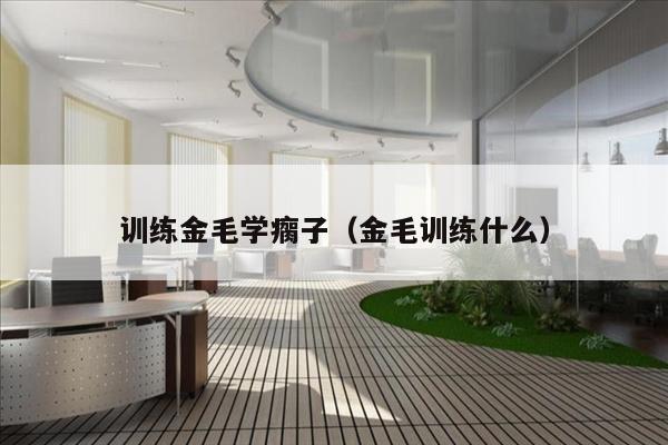 训练金毛学瘸子（金毛训练什么）