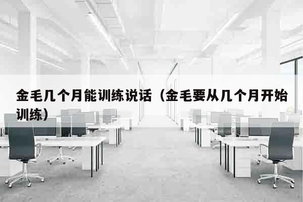 金毛几个月能训练说话（金毛要从几个月开始训练）