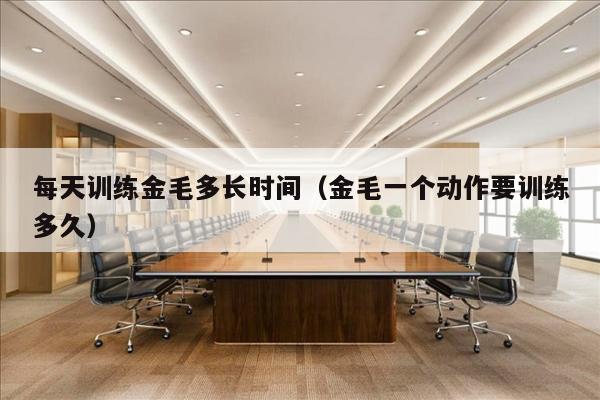 每天训练金毛多长时间（金毛一个动作要训练多久）