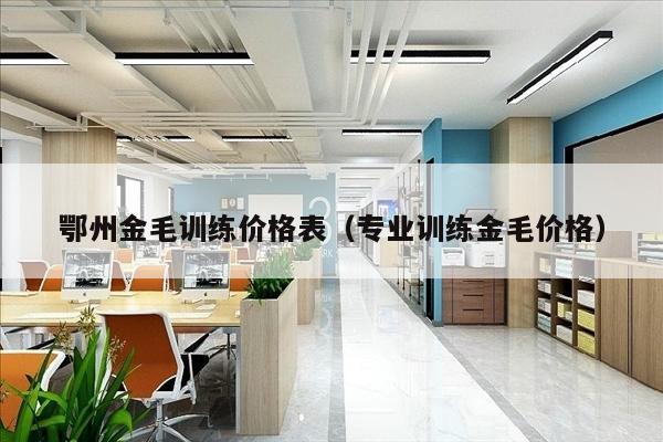 鄂州金毛训练价格表（专业训练金毛价格）