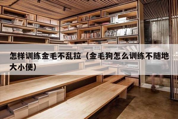 怎样训练金毛不乱拉（金毛狗怎么训练不随地大小便）