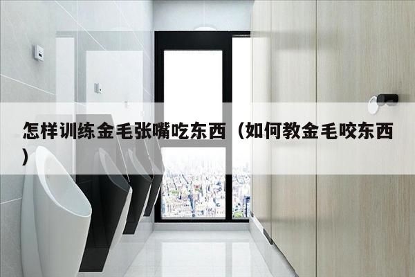 怎样训练金毛张嘴吃东西（如何教金毛咬东西）