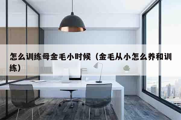 怎么训练母金毛小时候（金毛从小怎么养和训练）