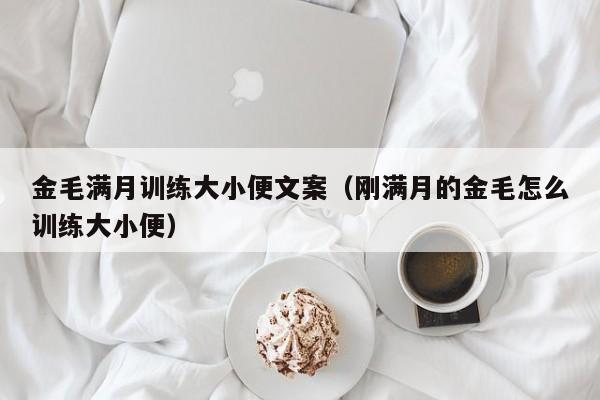 金毛满月训练大小便文案（刚满月的金毛怎么训练大小便）