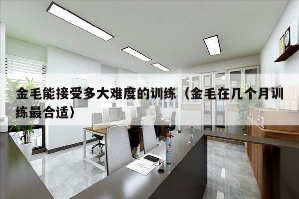 金毛能接受多大难度的训练（金毛在几个月训练最合适）