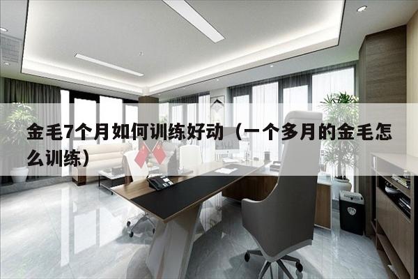 金毛7个月如何训练好动（一个多月的金毛怎么训练）