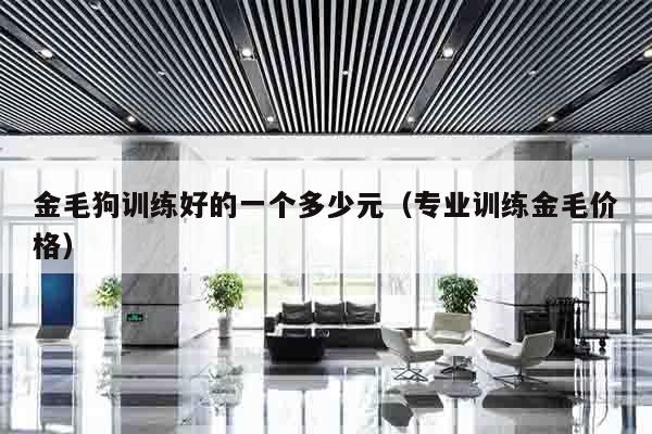 金毛狗训练好的一个多少元（专业训练金毛价格）