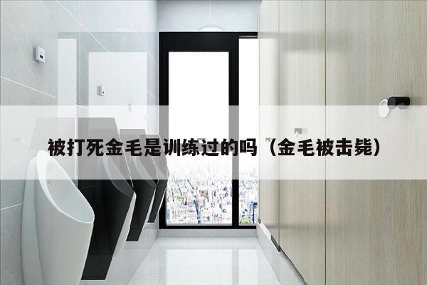 被打死金毛是训练过的吗（金毛被击毙）