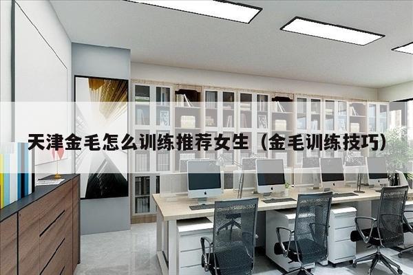天津金毛怎么训练推荐女生（金毛训练技巧）
