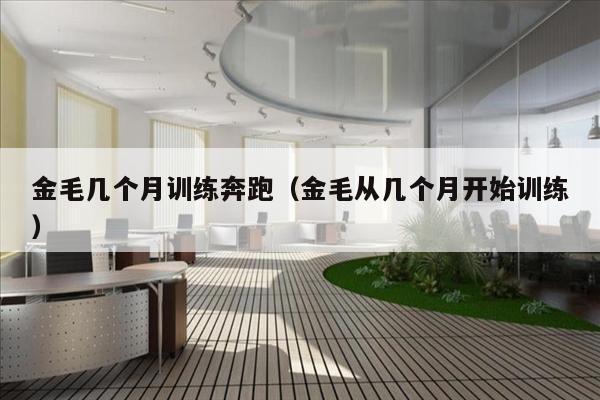 金毛几个月训练奔跑（金毛从几个月开始训练）