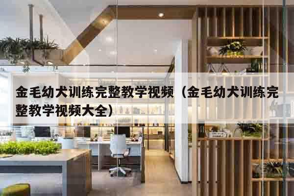 金毛幼犬训练完整教学视频（金毛幼犬训练完整教学视频大全）