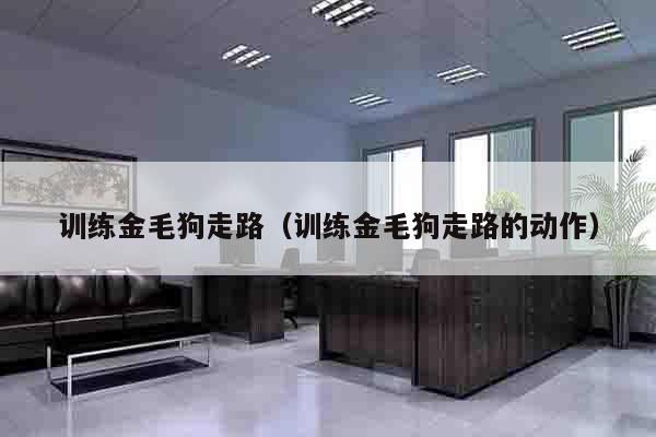 训练金毛狗走路（训练金毛狗走路的动作）