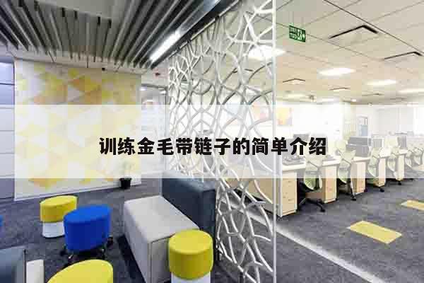 训练金毛带链子的简单介绍