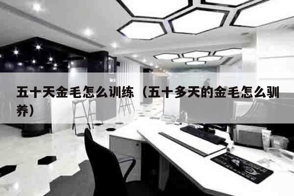 五十天金毛怎么训练（五十多天的金毛怎么驯养）