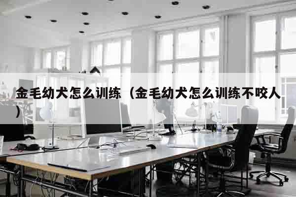 金毛幼犬怎么训练（金毛幼犬怎么训练不咬人）