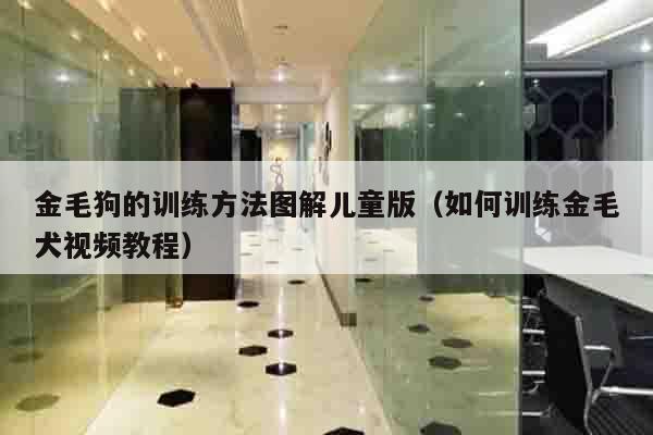 金毛狗的训练方法图解儿童版（如何训练金毛犬视频教程）