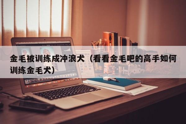 金毛被训练成冲浪犬（看看金毛吧的高手如何训练金毛犬）