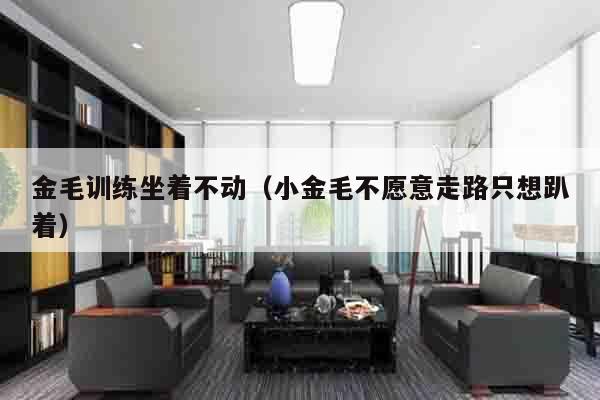 金毛训练坐着不动（小金毛不愿意走路只想趴着）