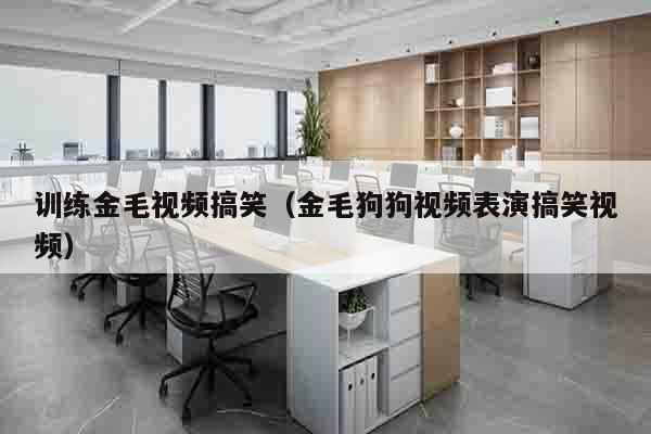 训练金毛视频搞笑（金毛狗狗视频表演搞笑视频）