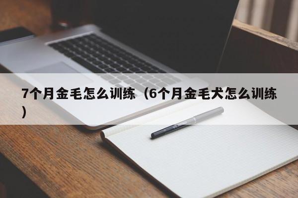 7个月金毛怎么训练（6个月金毛犬怎么训练）