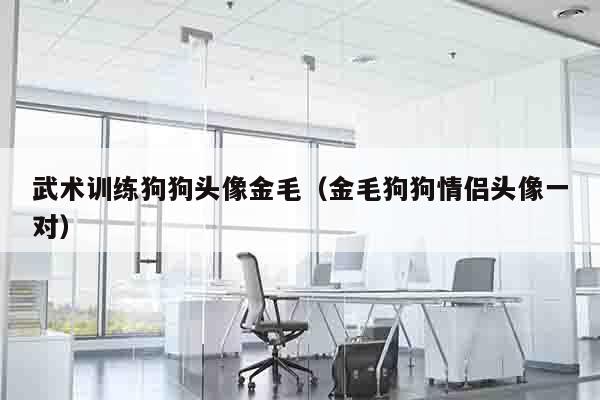 武术训练狗狗头像金毛（金毛狗狗情侣头像一对）