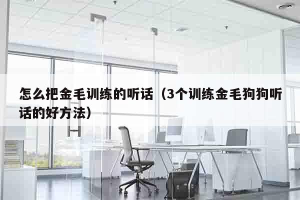 怎么把金毛训练的听话（3个训练金毛狗狗听话的好方法）