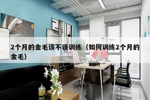 2个月的金毛该不该训练（如何训练2个月的金毛）