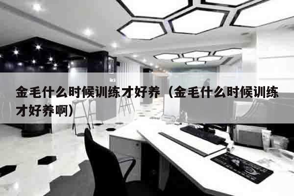 金毛什么时候训练才好养（金毛什么时候训练才好养啊）