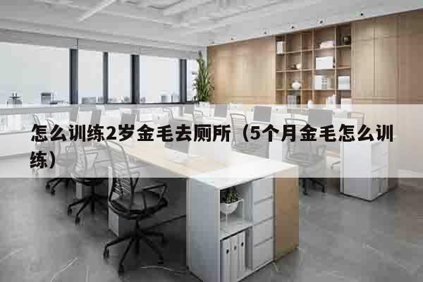 怎么训练2岁金毛去厕所（5个月金毛怎么训练）