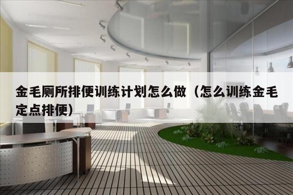 金毛厕所排便训练计划怎么做（怎么训练金毛定点排便）