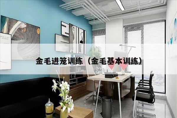 金毛进笼训练（金毛基本训练）