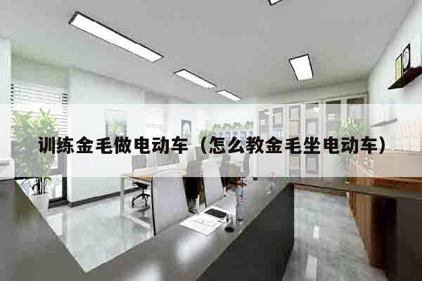 训练金毛做电动车（怎么教金毛坐电动车）